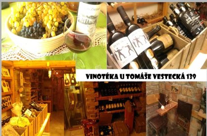 Degustace vín